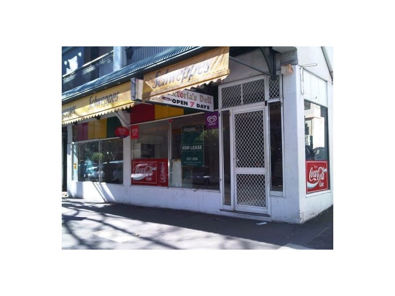 112 Victoria Street, Potts Point NSW 2011