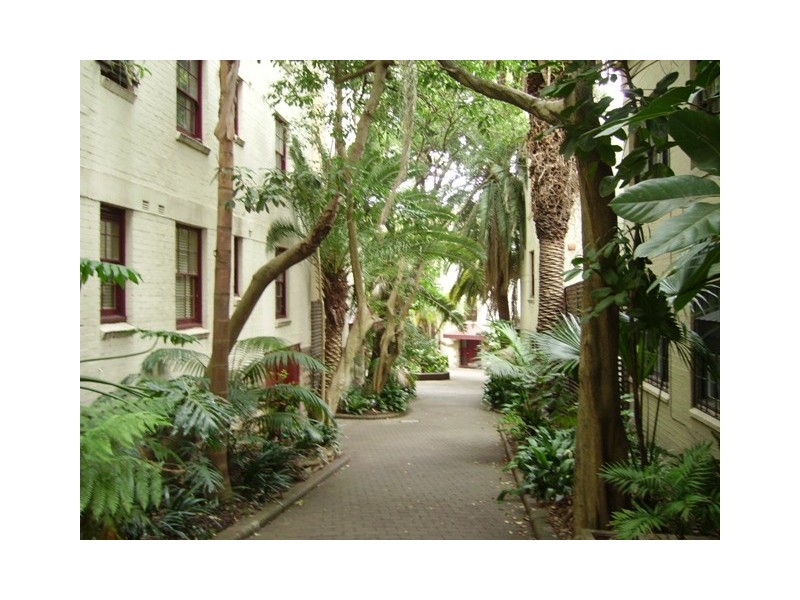 /42 Bayswater Road, Rushcutters Bay NSW 2011