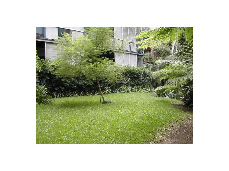 12/15-27 Hutchinson Street, Surry Hills NSW 2010
