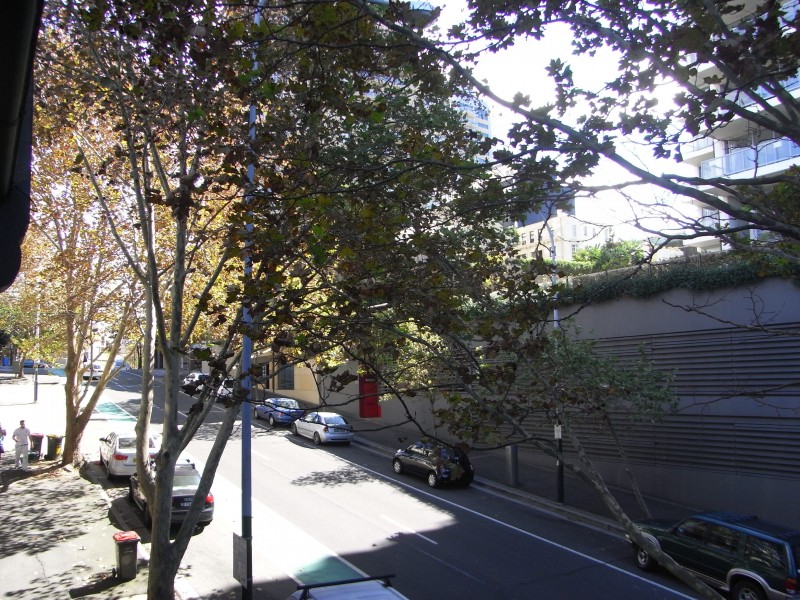 51 Craigend Street, Darlinghurst NSW 2010