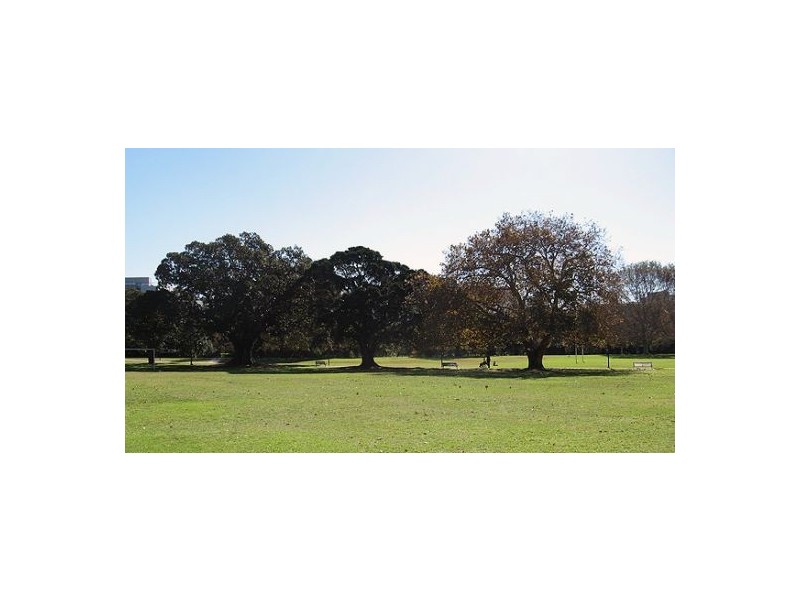 10/66 Bayswater Road, Rushcutters Bay NSW 2011