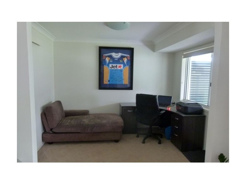 43 Razorbill Street, Burleigh Waters QLD 4220