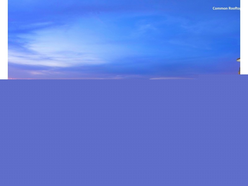 1002/20 Levey Street, Wolli Creek NSW 2205