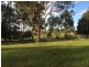 241 Evans Lane, Milton NSW 2538