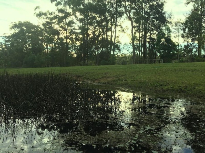 241 Evans Lane, Milton NSW 2538