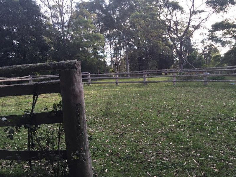 241 Evans Lane, Milton NSW 2538