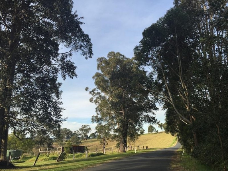 241 Evans Lane, Milton NSW 2538