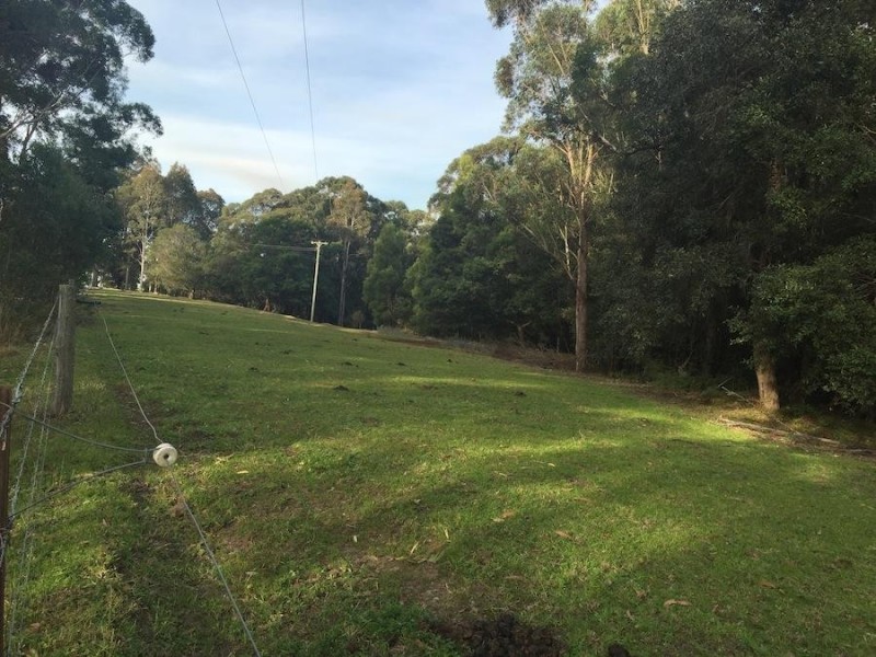 241 Evans Lane, Milton NSW 2538