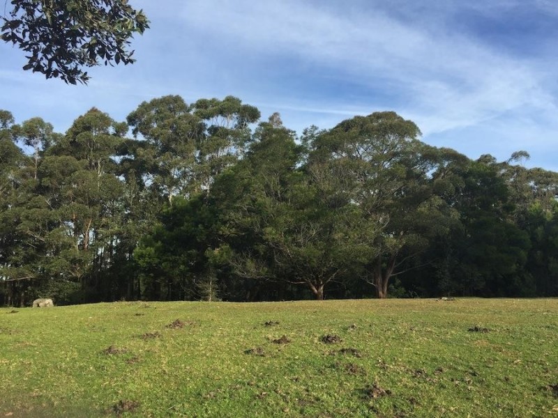 241 Evans Lane, Milton NSW 2538