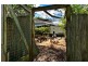 26 Gordon Street, Milton NSW 2538