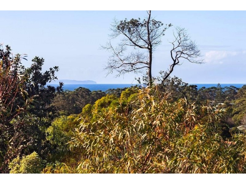 6 Seascape Close, Narrawallee NSW 2539