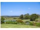 89 Croobyar Road, Milton NSW 2538