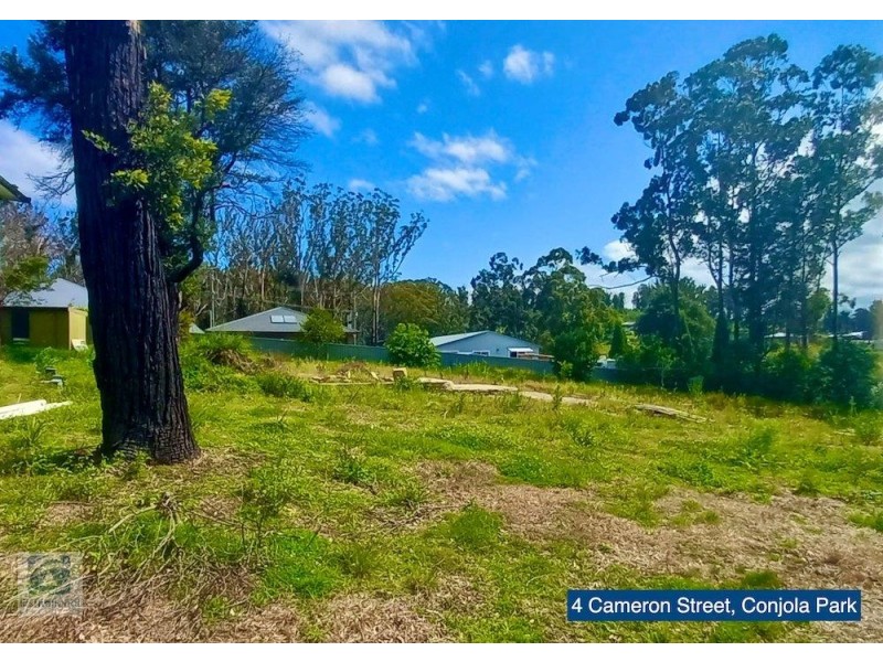 4 Cameron Street, Conjola Park NSW 2539