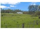 Mount Burrell NSW 2484