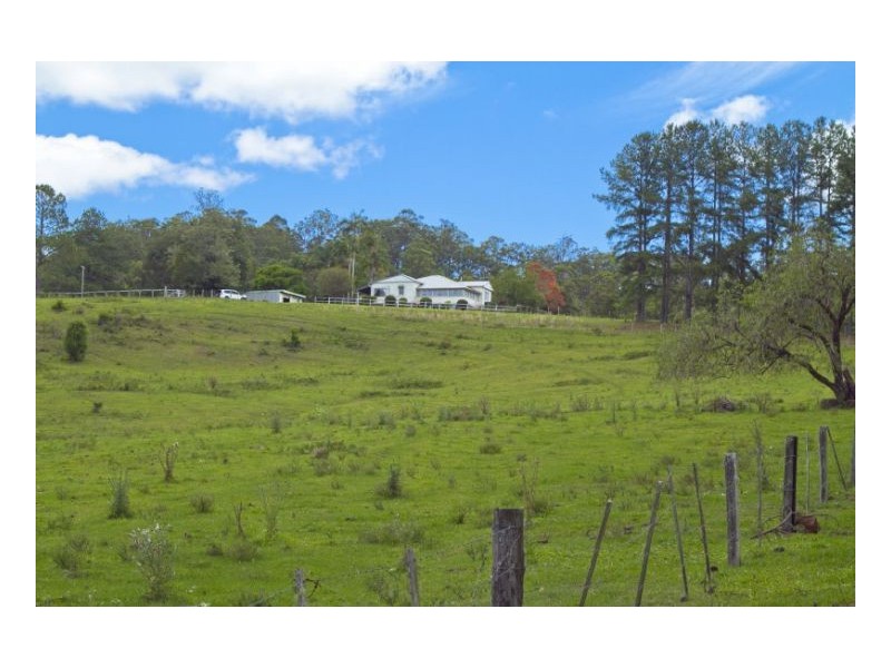 Mount Burrell NSW 2484