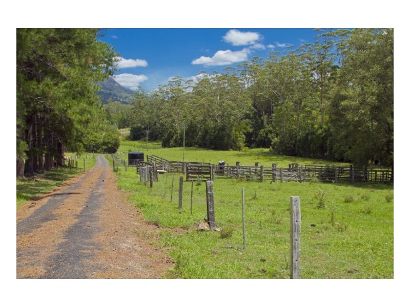 Mount Burrell NSW 2484