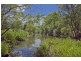 Mount Burrell NSW 2484