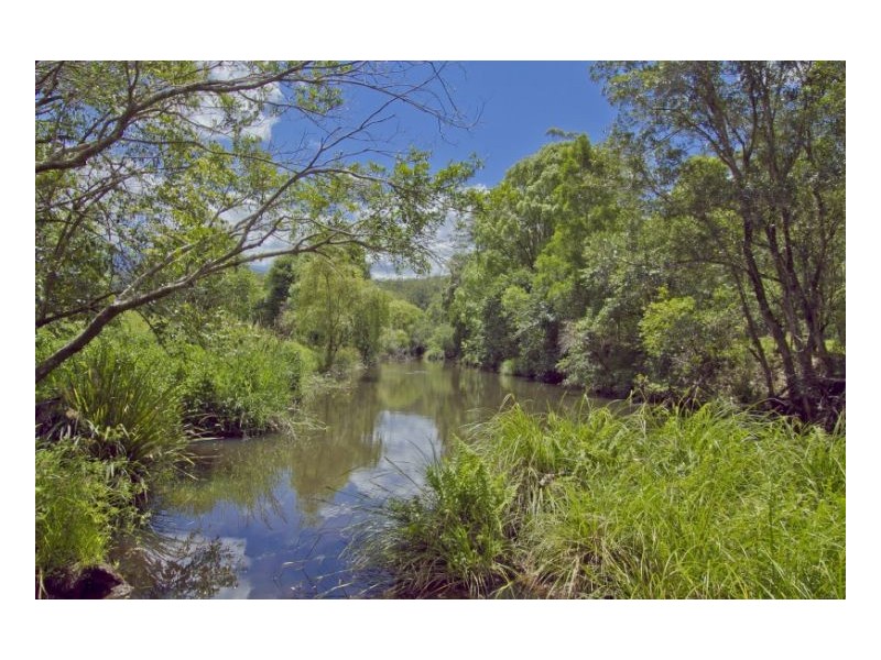 Mount Burrell NSW 2484