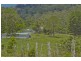 Mount Burrell NSW 2484