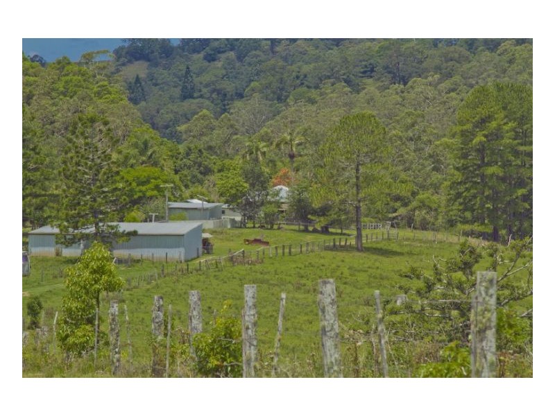 Mount Burrell NSW 2484