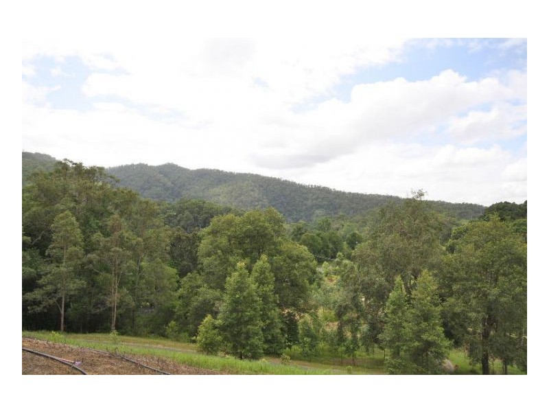 1185 Tyalgum Road, Eungella NSW 2484