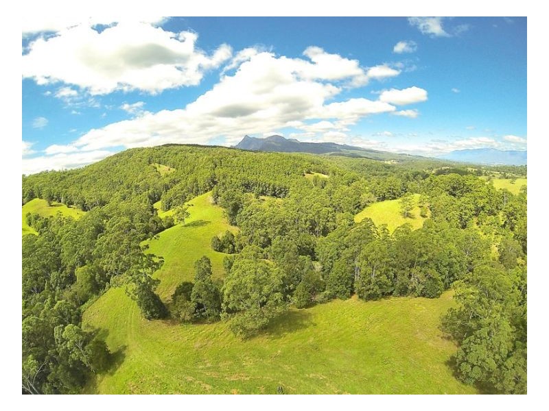 Murwillumbah NSW 2484