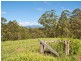 Murwillumbah NSW 2484