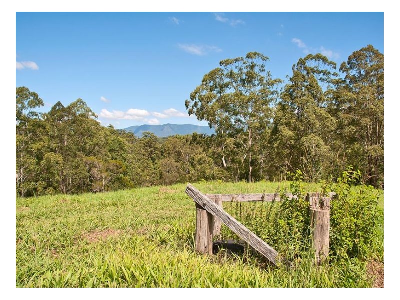 Murwillumbah NSW 2484