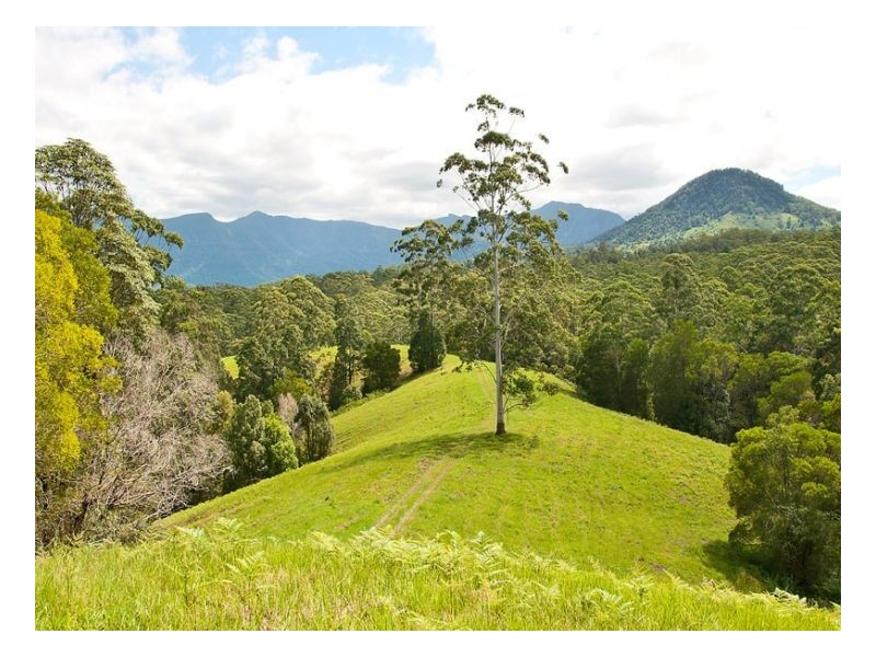 Murwillumbah NSW 2484