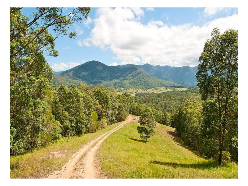 Murwillumbah NSW 2484
