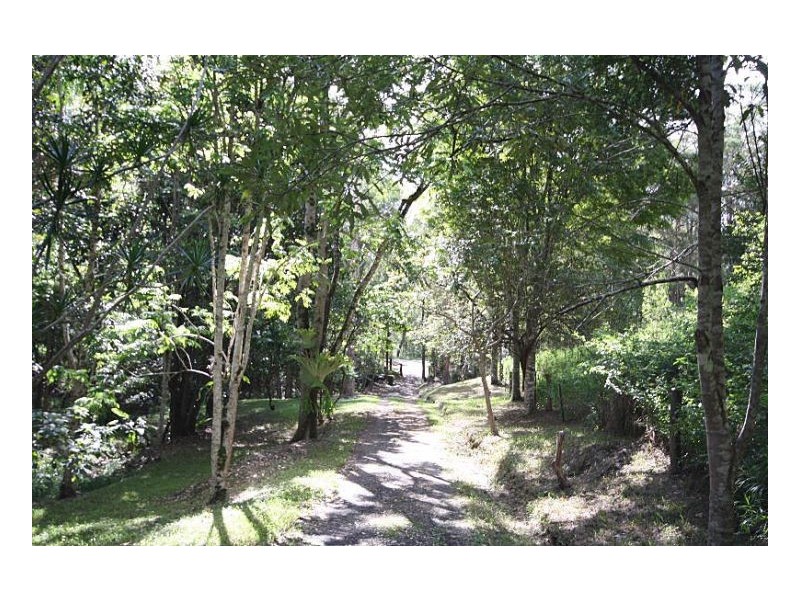 Murwillumbah NSW 2484