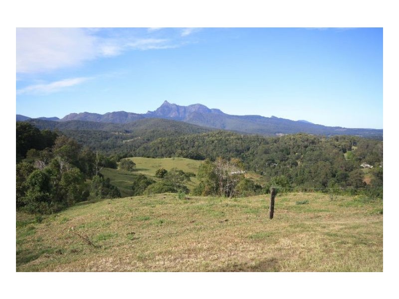Limpinwood NSW 2484