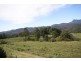 Limpinwood NSW 2484