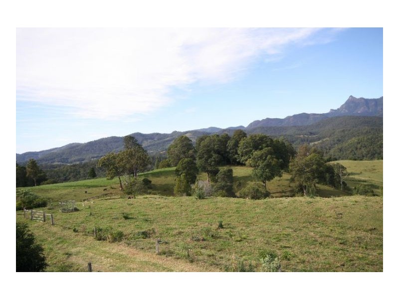 Limpinwood NSW 2484