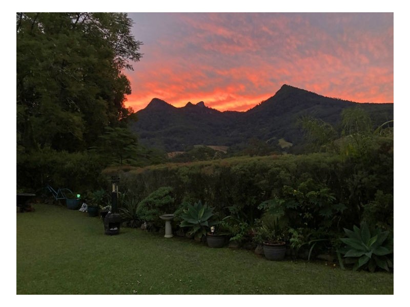 1537 Kyogle Road, Uki NSW 2484