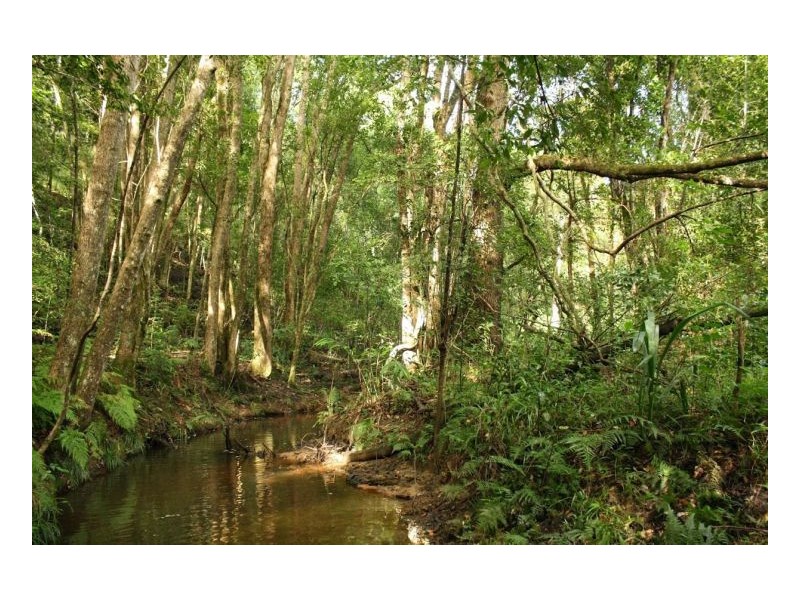Murwillumbah NSW 2484