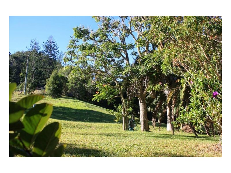 Murwillumbah NSW 2484