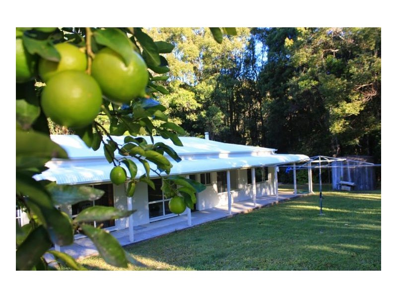 Murwillumbah NSW 2484