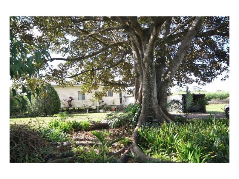 Murwillumbah NSW 2484