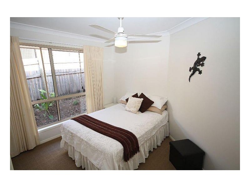 Murwillumbah NSW 2484