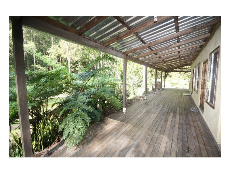 Nobbys Creek NSW 2484