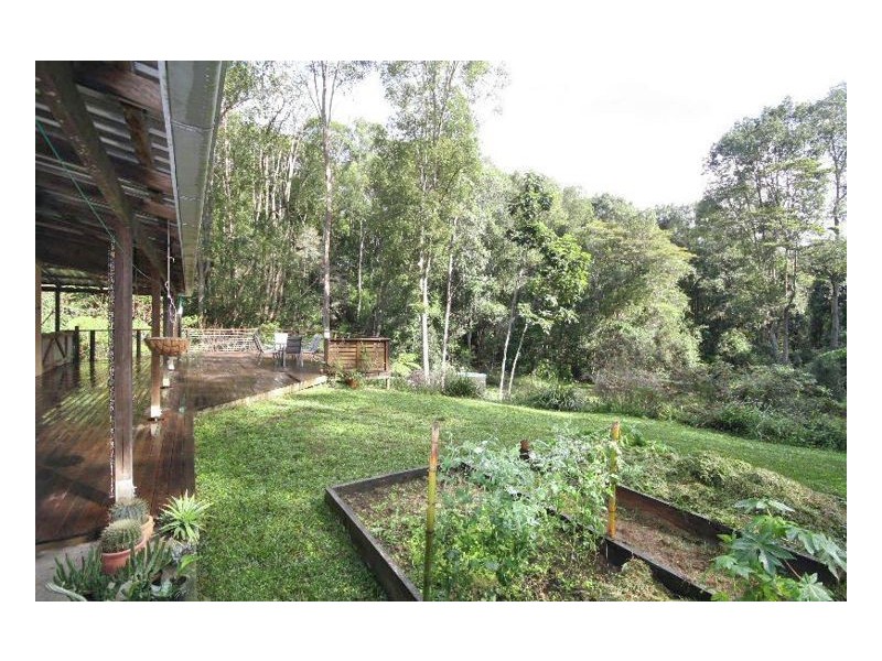 Nobbys Creek NSW 2484