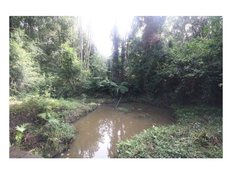 Nobbys Creek NSW 2484