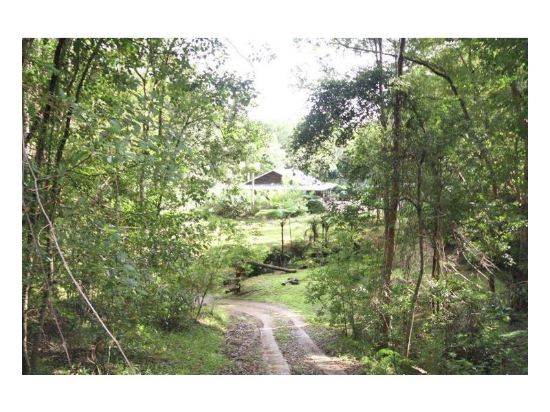 Nobbys Creek NSW 2484