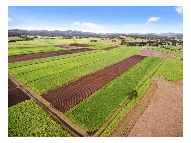 Murwillumbah NSW 2484