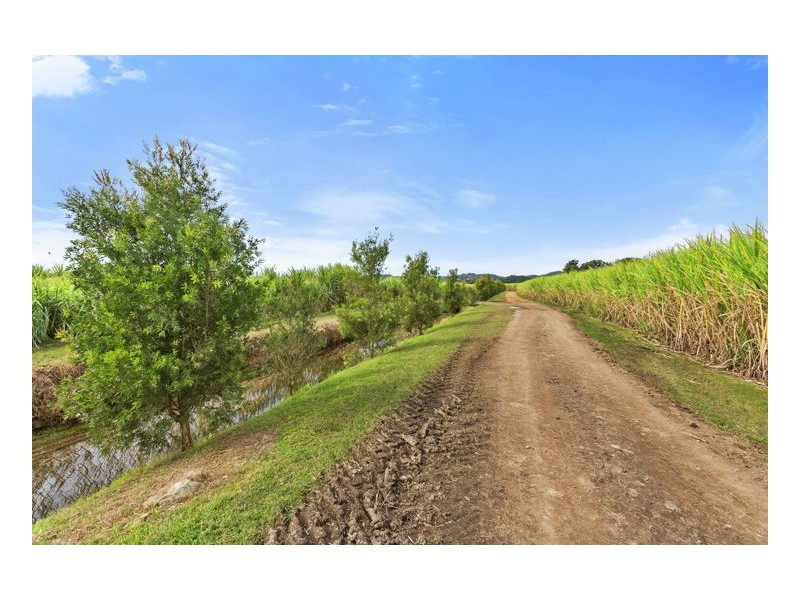 Murwillumbah NSW 2484