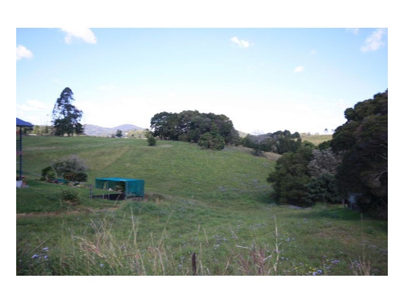 Murwillumbah NSW 2484