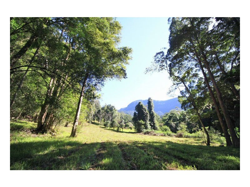 Upper Crystal Creek NSW 2484