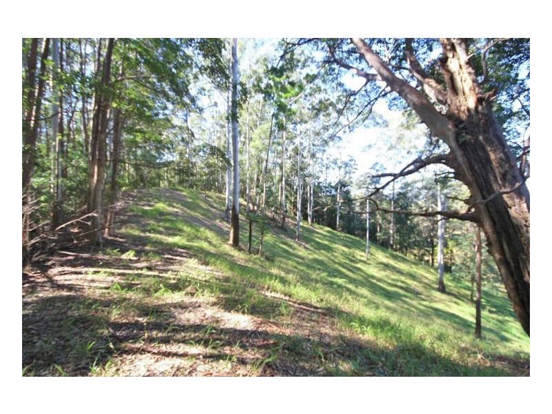 Upper Crystal Creek NSW 2484