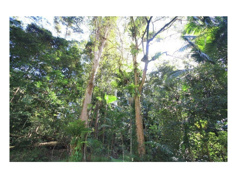 Upper Crystal Creek NSW 2484